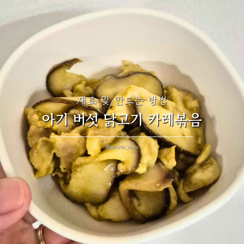 유아식 닭안심 아기 닭가슴살 요리 버섯카레볶음 5살 아이반찬