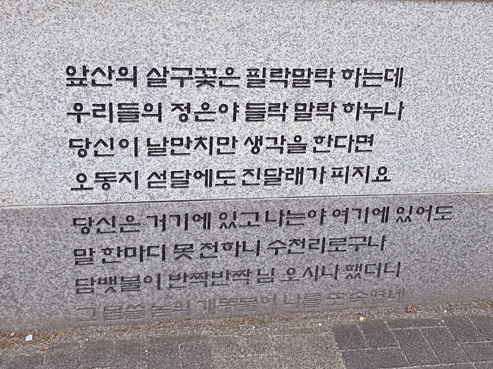 정선농협 한우타운 사진 5