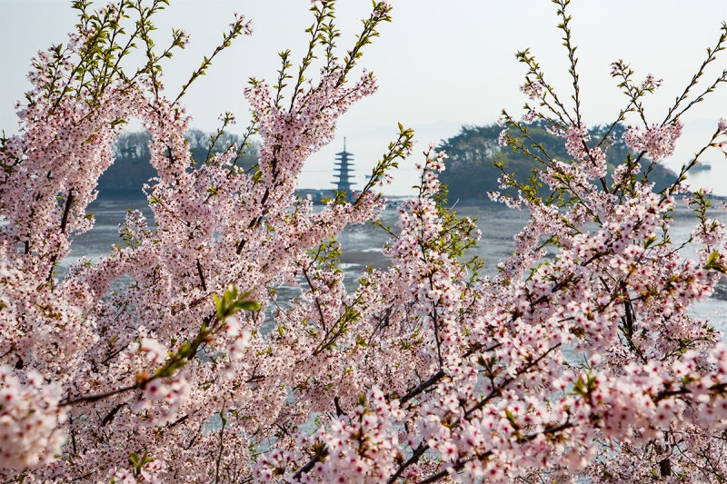 사진 6