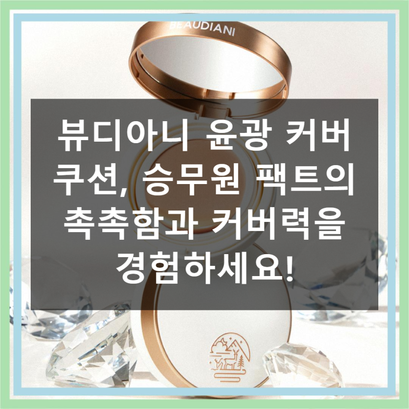 ✨ 승무원 팩트의 비밀, 뷰디아니 윤광 쿠션으로 무결점 피부 완성! ✨