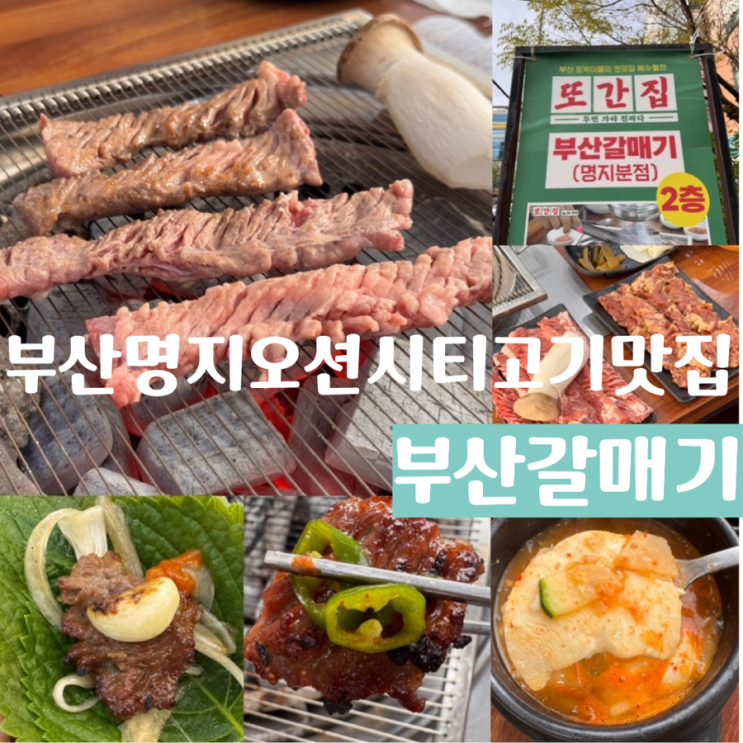  부산명지고기맛집 <부산갈매기> 풍자또간집 부산편 출연 할만하네!! 명지 회식장소 부산 대형 단체석 완비된 식당 (+메뉴추추천, 맛, 분위기, 주차 정보 포함)