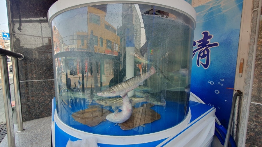 청횟집 사진 6