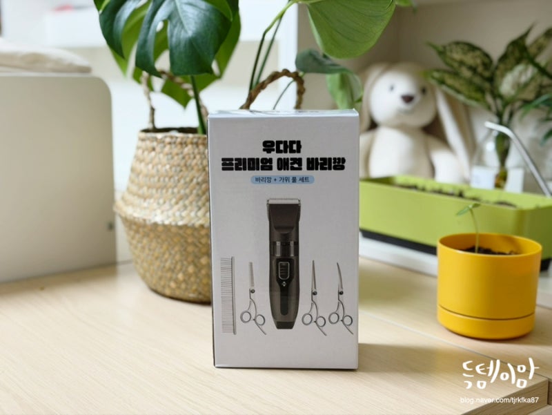 사진 6