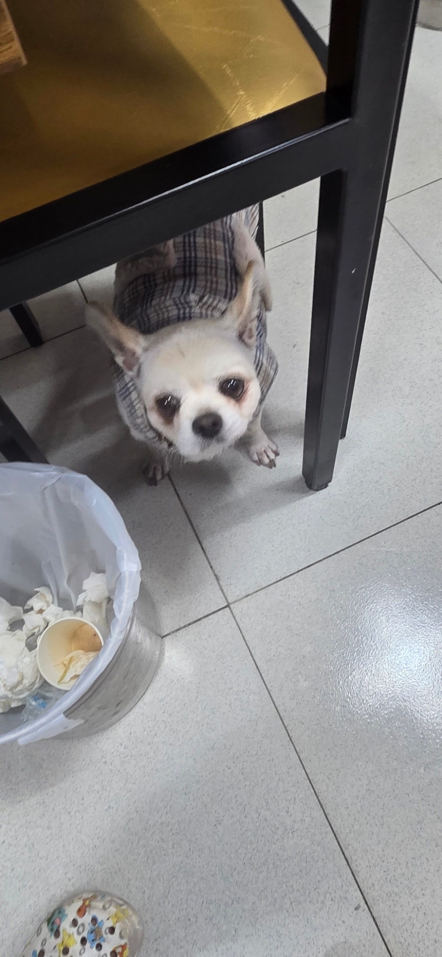 오복식당 사진 4
