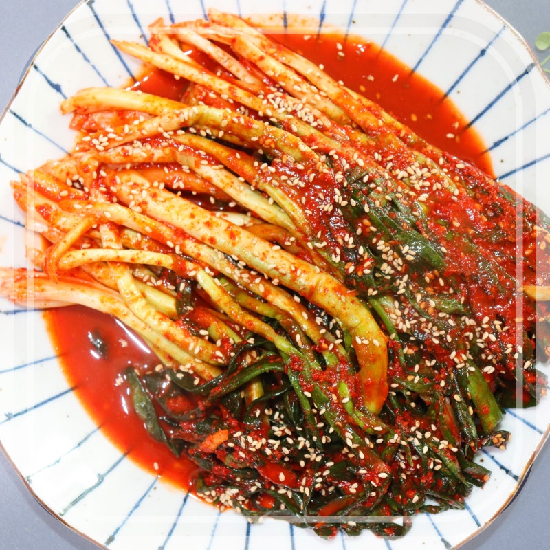 파김치추천 이영자파김치 양념 온작 김치미감 맛있어!