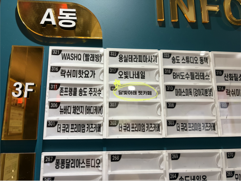 사진 4