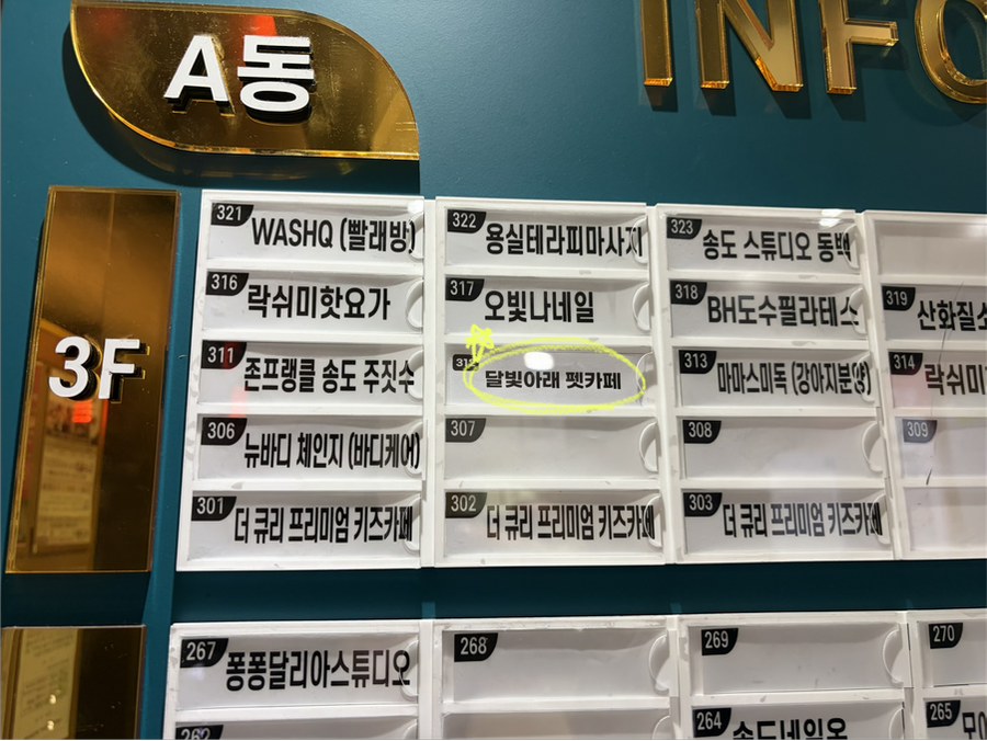 달빛아래 펫카페 사진 2