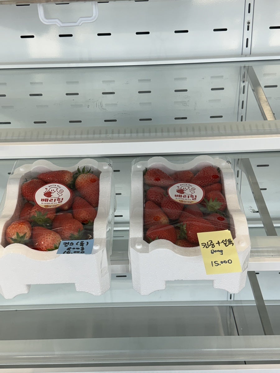 설향 사진 4