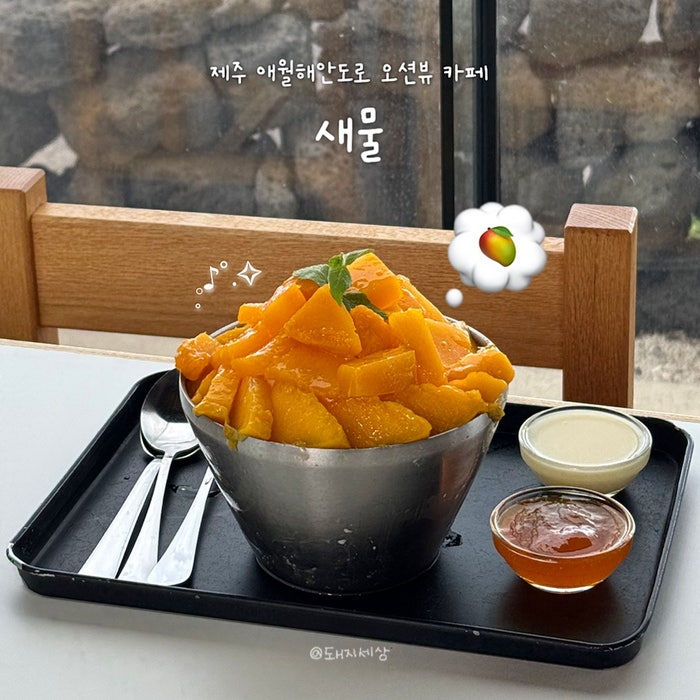 사진 7