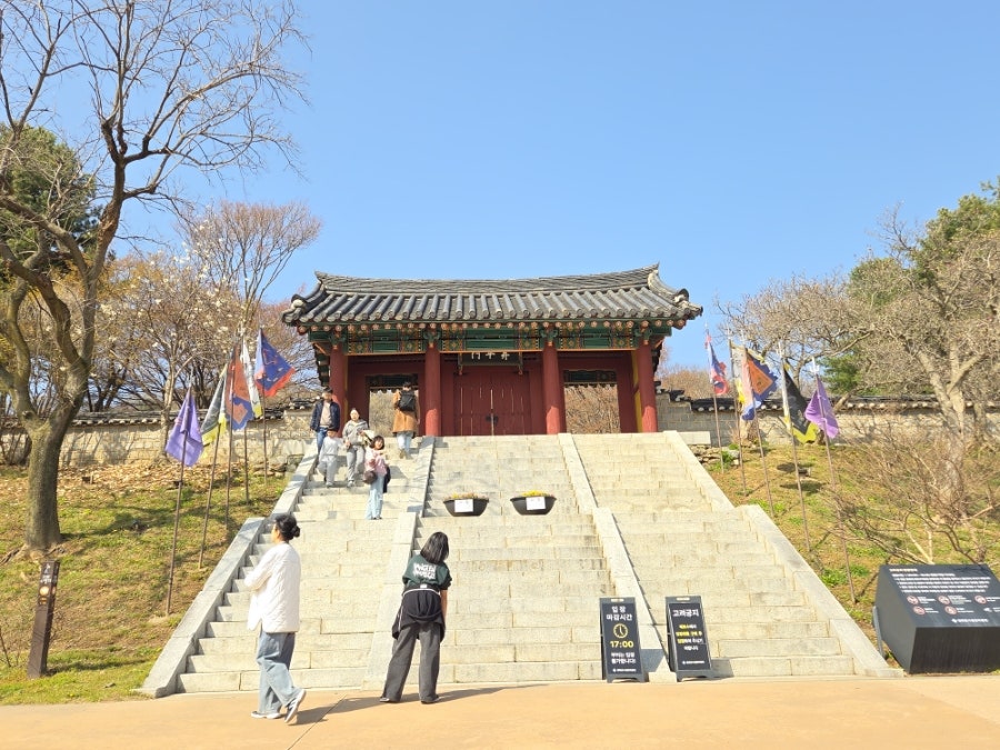 북문벚꽃길 사진 2