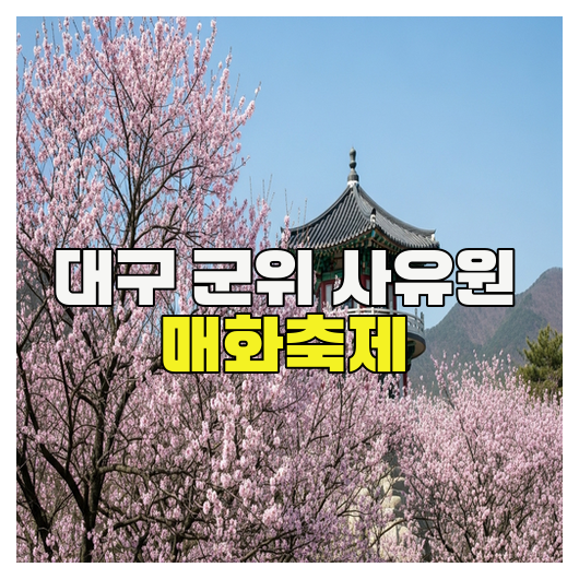  대구 군위 사유원 매화축제 완벽 가이드