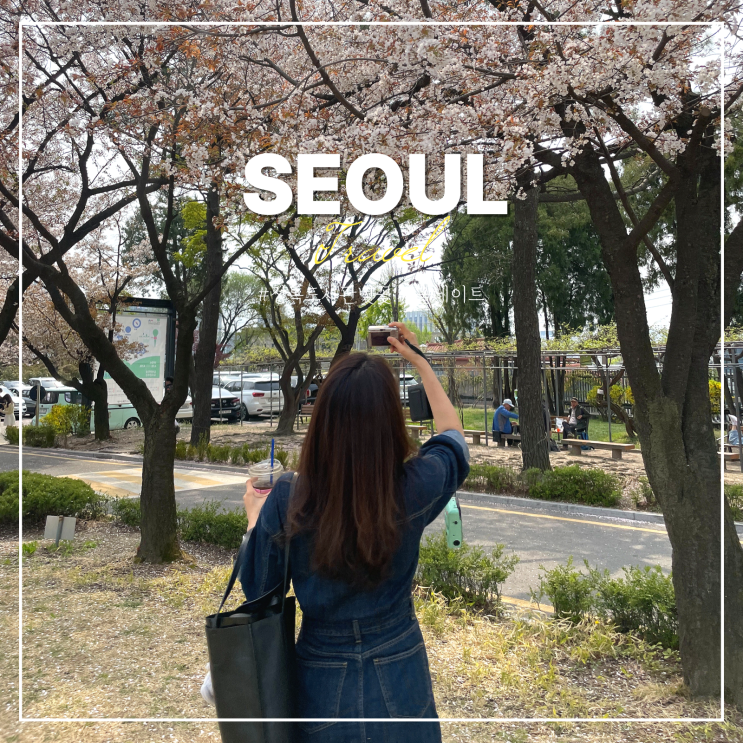  서울 정독도서관 벚꽃 주차장 북촌 데이트 겹벚꽃