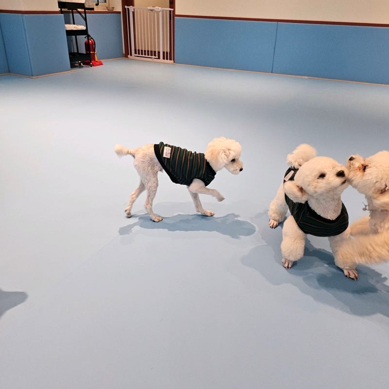 사진 3