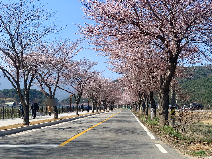 야누스 사진 2