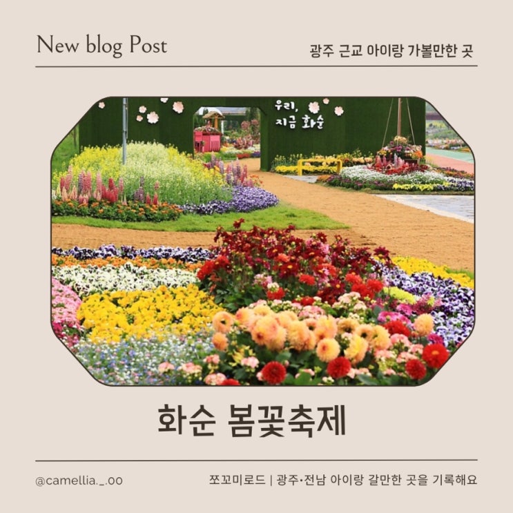  2026 화순 봄꽃축제 아이랑 가기 좋은 화순축제 완벽 가이드 (주차•셔틀버스•체험•먹거리•가수)