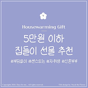 5만원 이하 집들이 선물 | 센스 있는 집들이 소형가전 추천 및 부담 없는 집들이 선물 5만원 ....