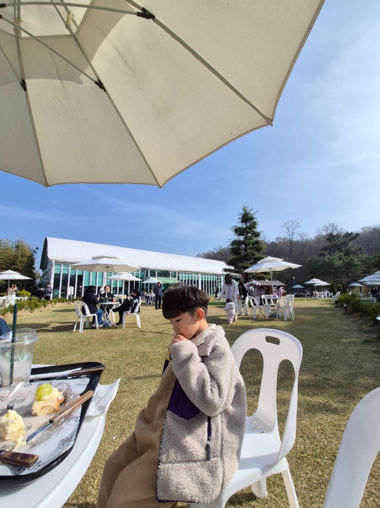  시흥 인천 대형카페 빌리:모래놀이 식물원 야외 애견동반