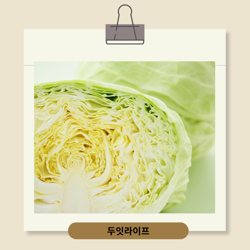 양배추 갈변, 먹어도 될까? 변색과 상한 것 구분법 정리해드립니다