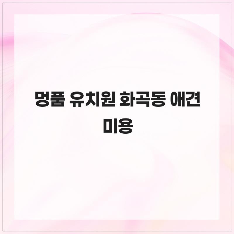 사진 4