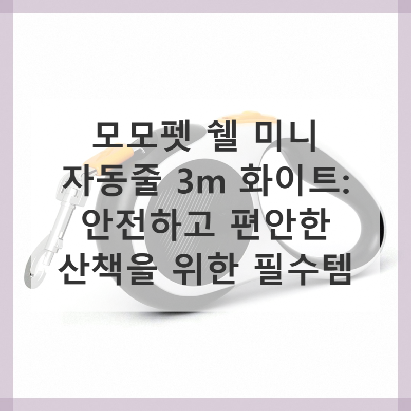 사진 6