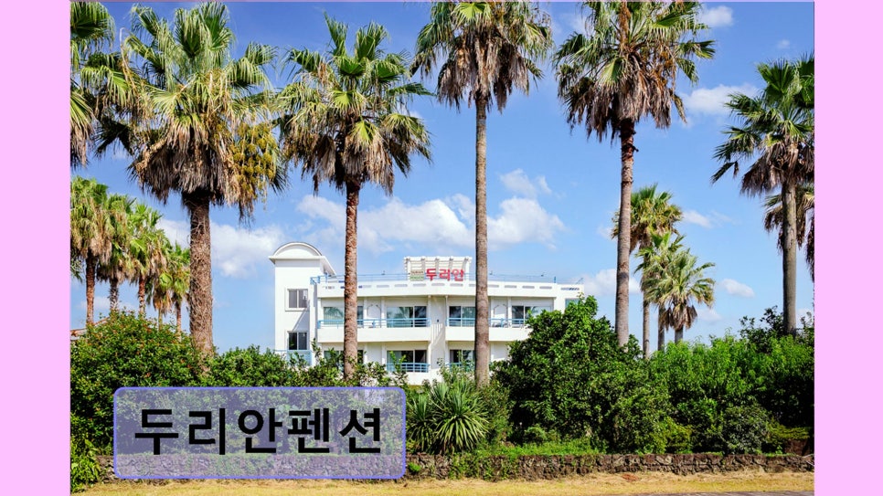 두리안펜션 사진 5