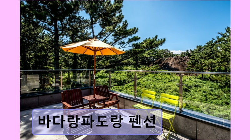 사진 6