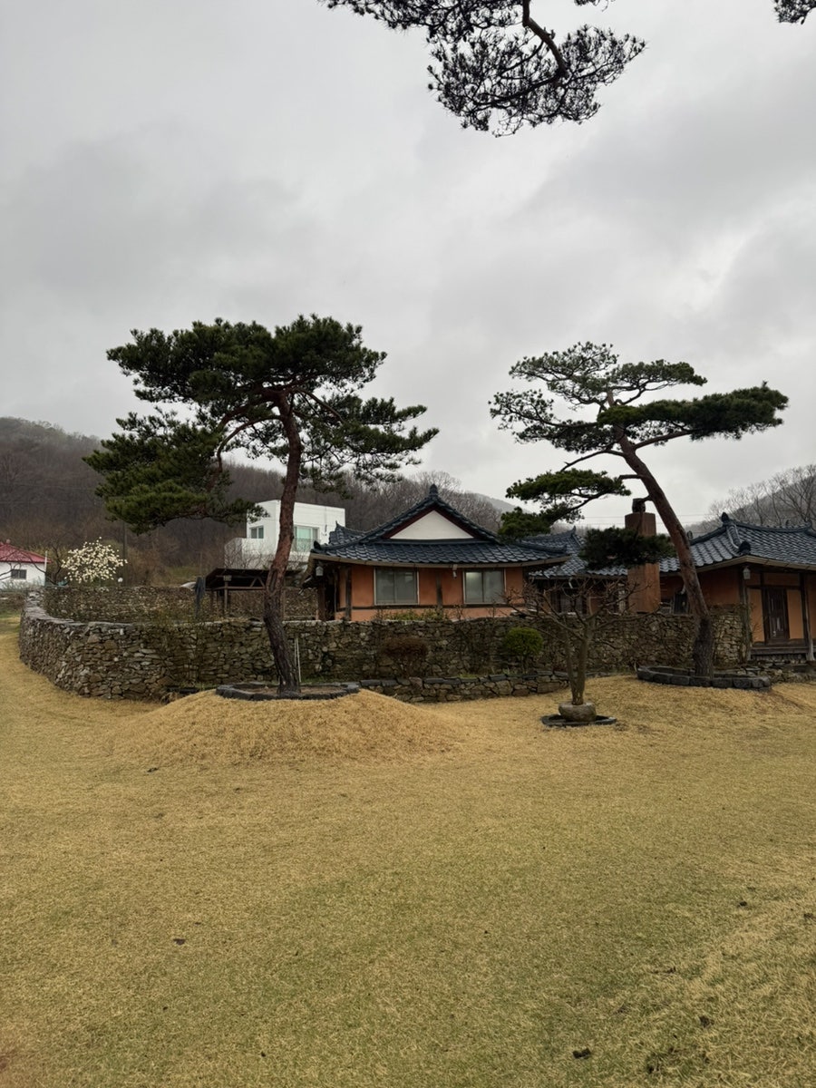 옛날에금잔디 사진 2