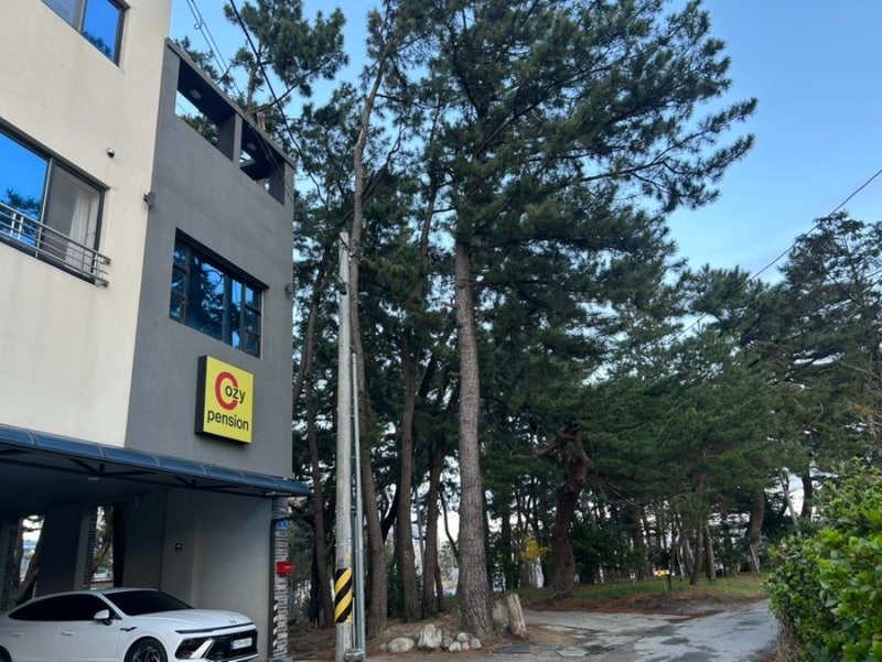 경포코지펜션 애견동반