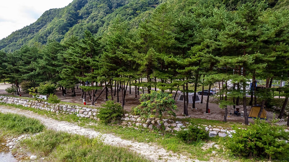 한계령솔밭야영장 사진 3