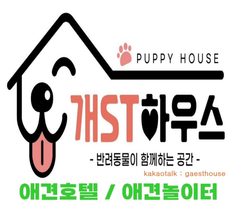 사진 2