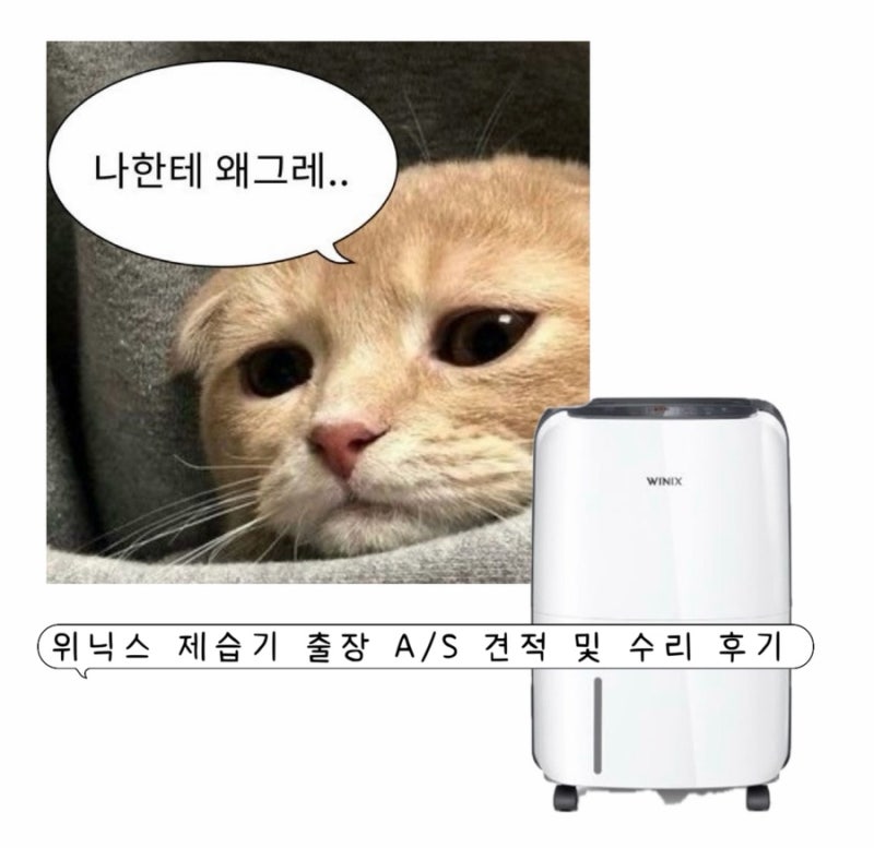 위닉스 제습기(DXAW100 -JWK) 전원 안 켜짐 ... 출장 A/S 견적 및 수리 후기