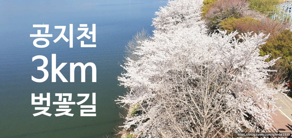 길목식당 사진 2