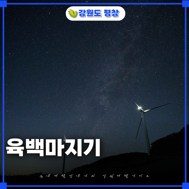 사진 8