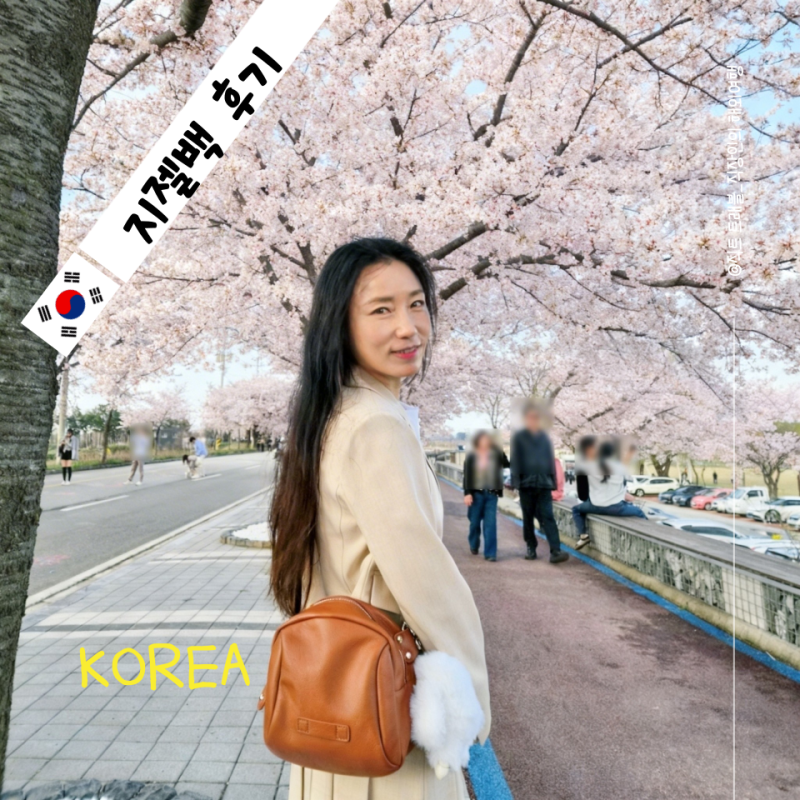 여성가방 추천 지젤백 후기, 요즘 데일리백 천연소가죽 크로스백
