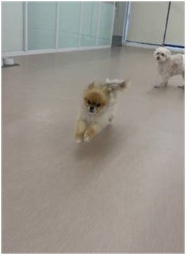 사진 8