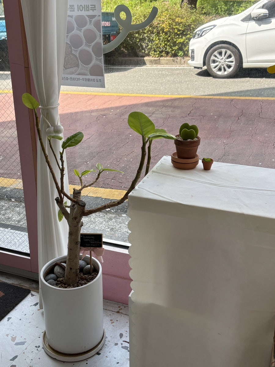 당몽당 사진 3