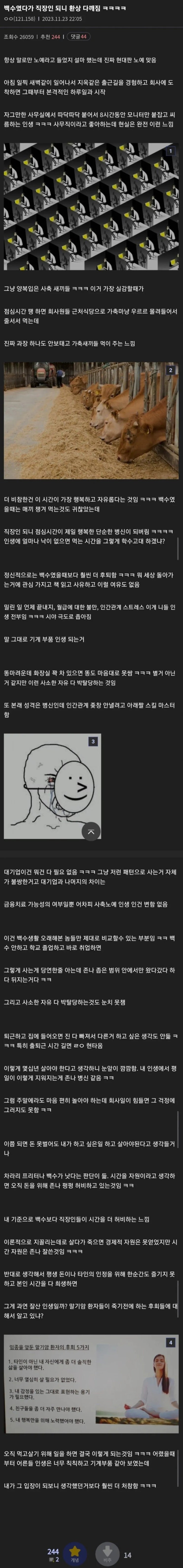  백수였다가 직장인 되니 환상 다깨짐