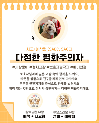 사진 8