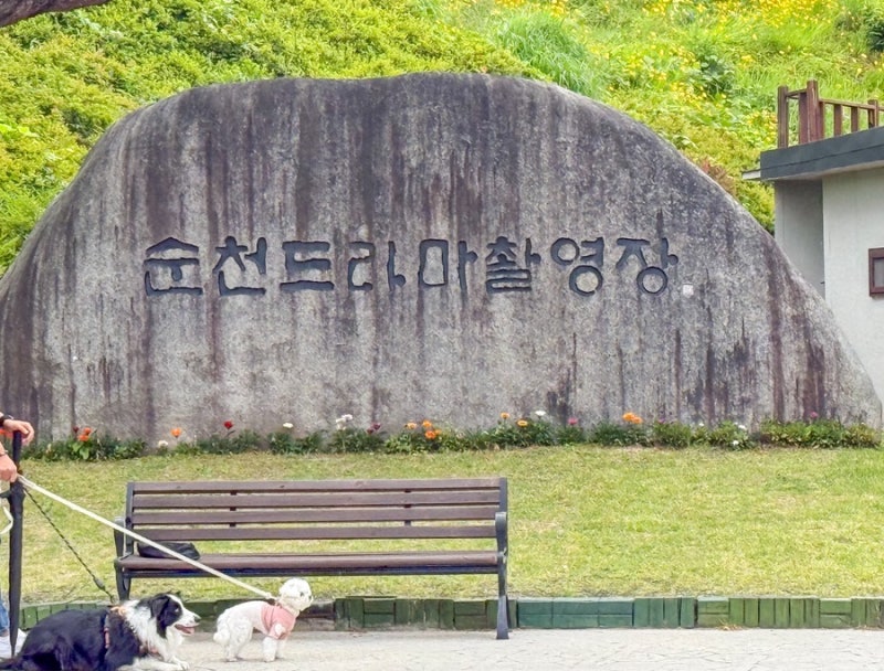 사진 9