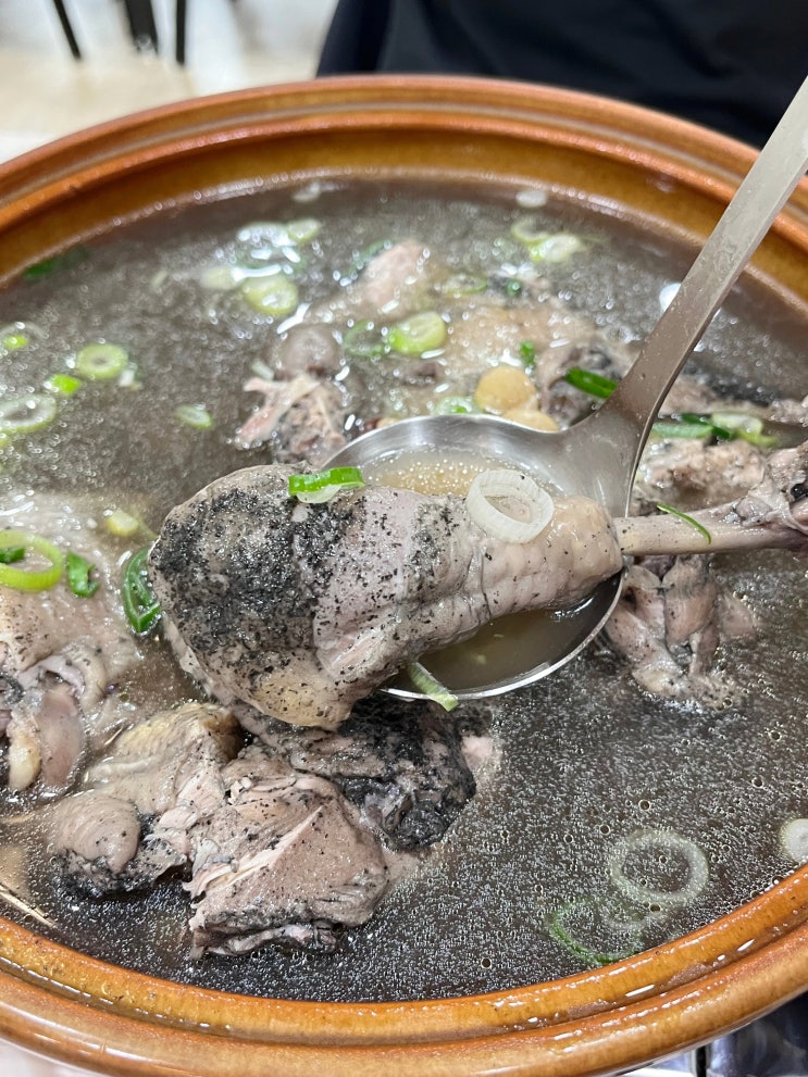  구미 금오산 맛집 금오랜드 근처 아이랑 가족외식 버드나무백숙 주차팁