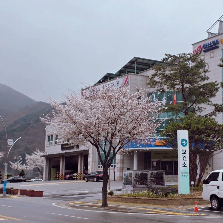 정선농협 한우타운 사진 2