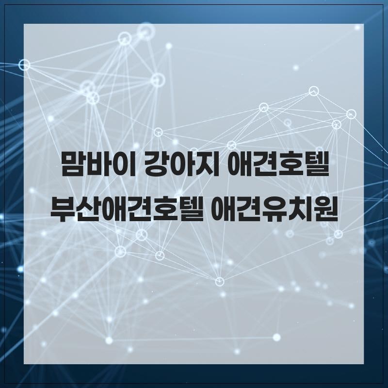 사진 4