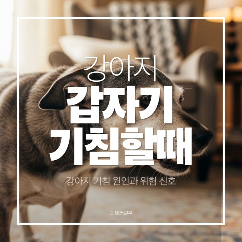 노견 갑자기 기침 주요 원인 5가지, 병원 가야 할 위험 신호