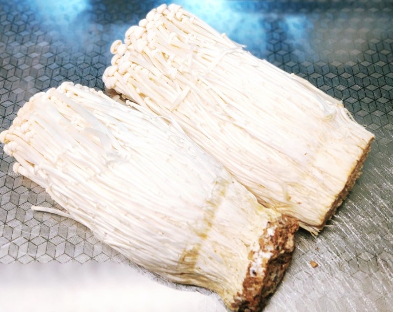 가성비 팽이버섯 보관법 | 곰팡이·짓무름 완벽 차단하는 물기 제로 2주 냉장 세팅 [식재료 꿀....