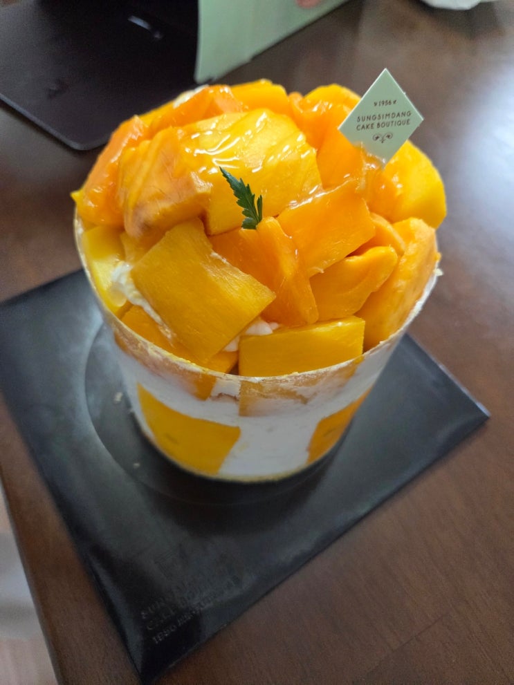  43000원 성심당 망고 시루 후기 | 돈은 안 아깝지만 또 살지는 모르겠는 이유
