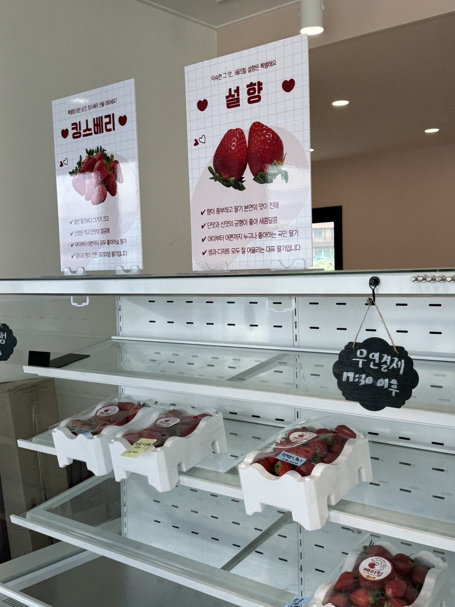 설향 사진 2