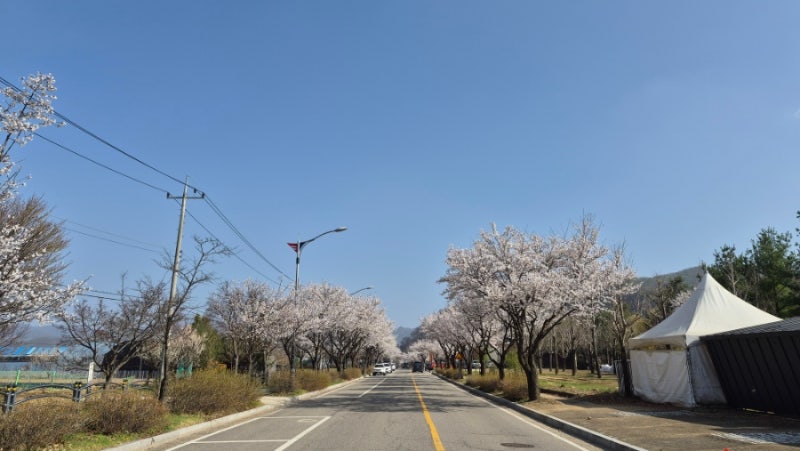 한탄강관광지 오토캠핑장 | 강변 자리 꿀팁·시설 후기 다 알려드림
