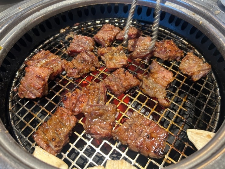  [서울/목동] 목동역 고기집 추천 | 목동현대백화점 맛집 청기와타운 생갈비, 투움바 무생채 볶음밥 솔직 후기