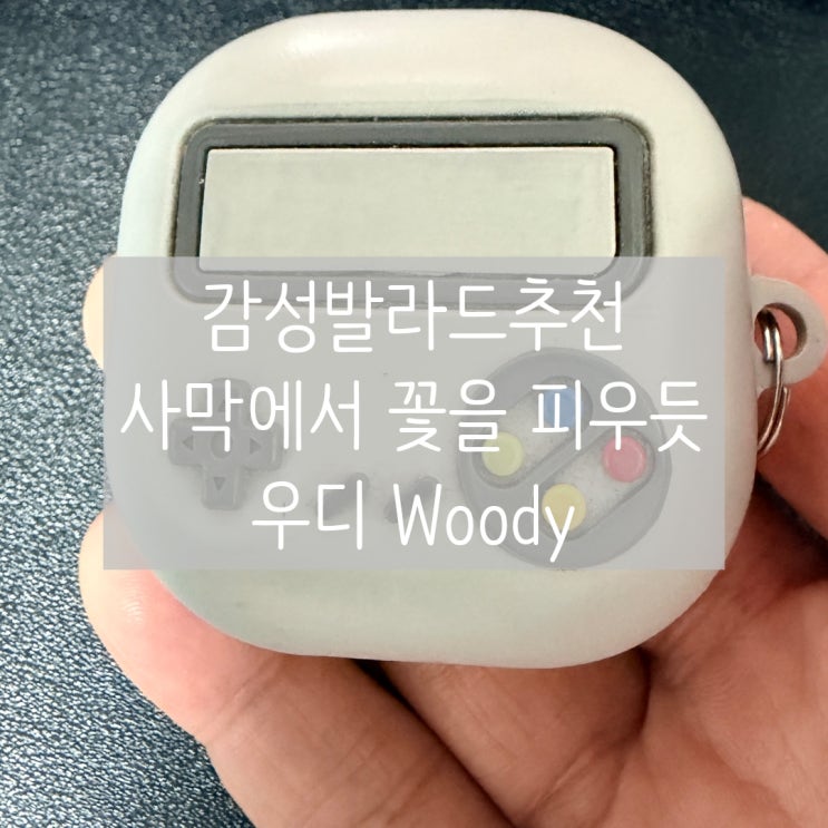  감성발라드 추천 | 사막에서 꽃을 피우듯 - 우디 Woody