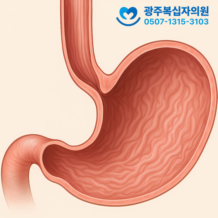  두암동 내과 광주복십자의원에서 알려주는 급성위염
